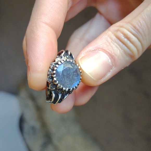 Bloodmilk Labradorite Belonging to the Darkness - Picture 4 of 4